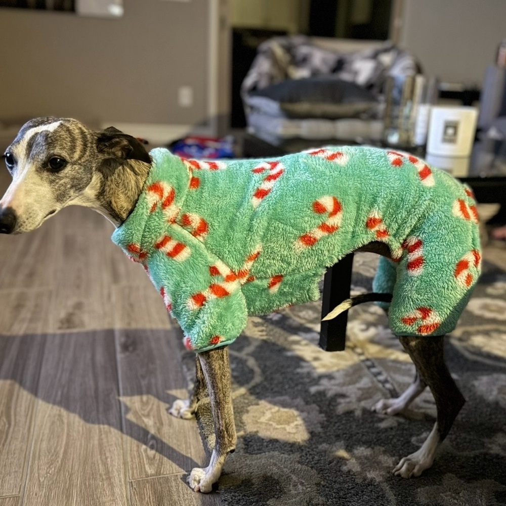 Fleece Dog Pajamas Mint Green Candy Cane Print